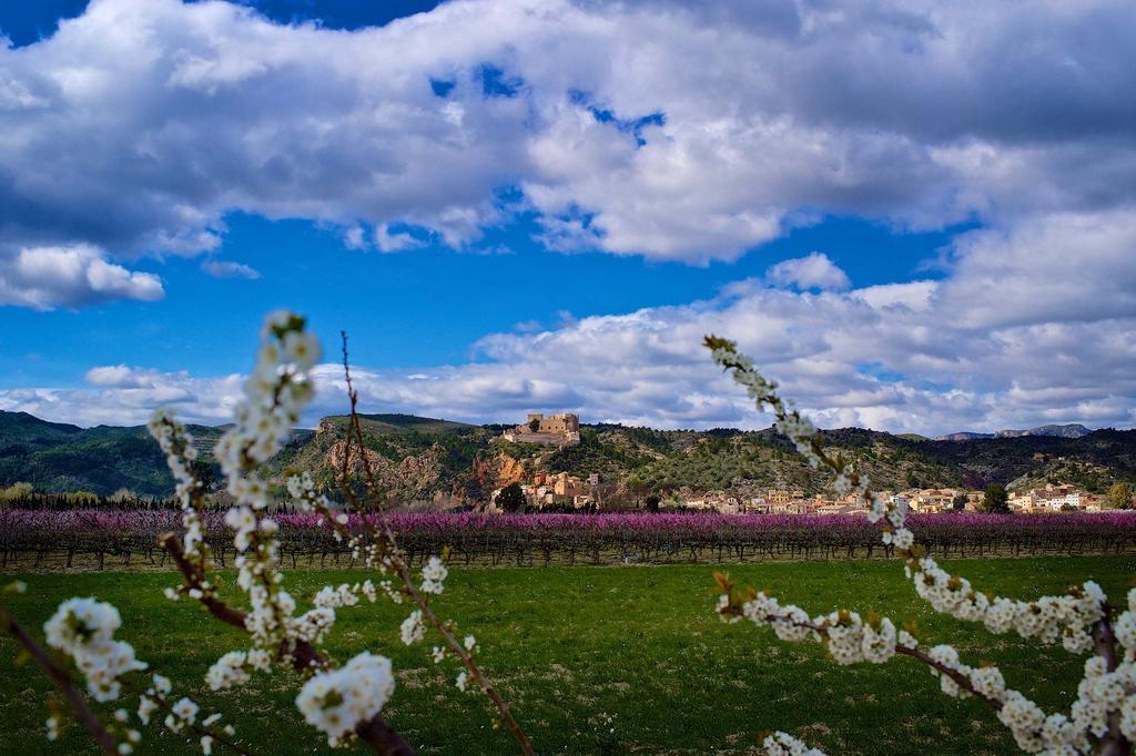 Apartmán Ca La Maria Mora d'Ebre Exteriér fotografie